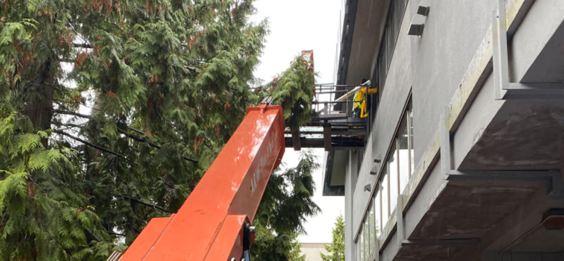 Mongio School Glazing Replacement project view 2