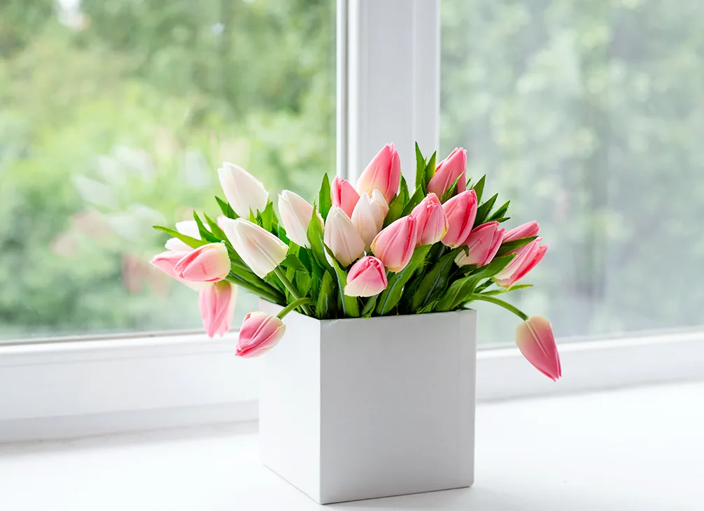 A bright interior with tulips beside a window